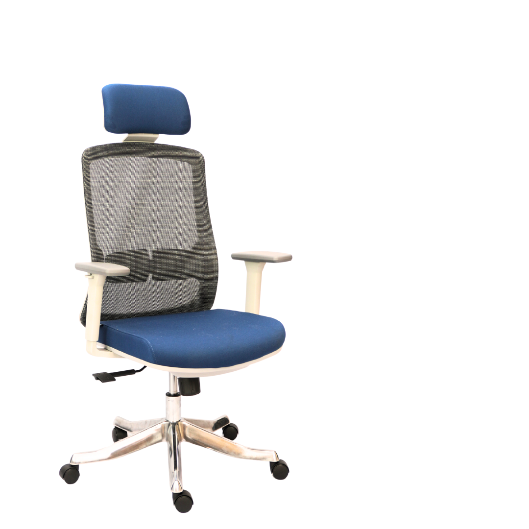 Premium Executive Chair with Aluminum Octopus Leg (FT-H188A-1) - Furnitex Limited