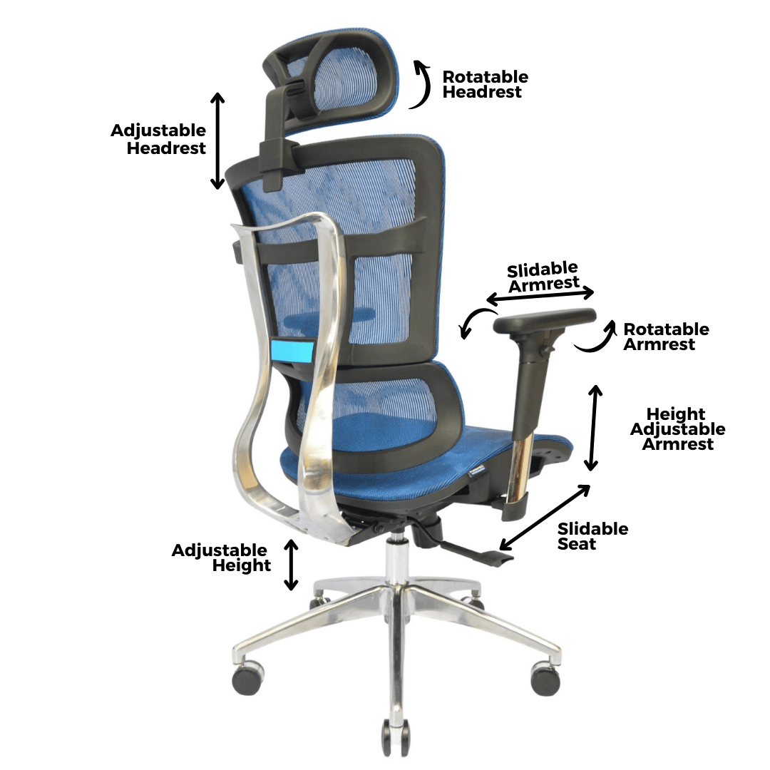 Complete Multifunction Chair (FT-HC03) Blueberry Blue