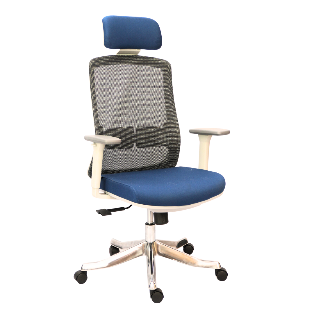 Premium Executive Chair with Aluminum Octopus Leg (FT-H188A-1) Furnitex Limited