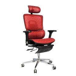 Complete Multifunction Chair (FT-B995) Red - Boss Chair | BDshoppers.com