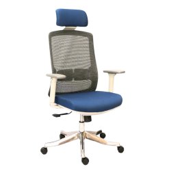 Premium  Executive Chair with Aluminum Octopus Leg (FT-H188A-1) - Office Chair | BDshoppers.com