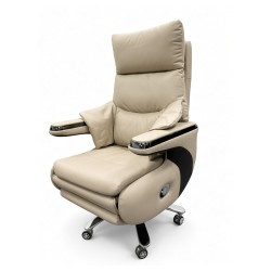 Wavex Electric Massage Boss Chair (AR13) Beige - Boss Chair | BDshoppers.com