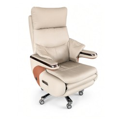 Wavex Electric Massage Boss Chair (AR13) Light Gray - Boss Chair | BDshoppers.com